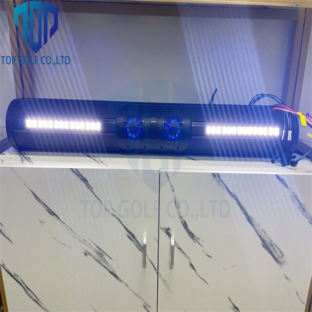 Giá bán nóng chất lượng âm thanh và một chiếc xe gôn trông thanh lịch 18 